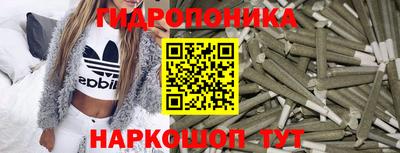 твердый Партизанск