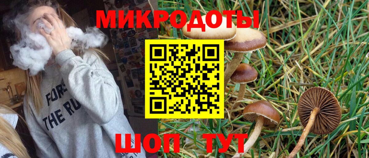 Псилоцибиновые грибы мицелий Свободный