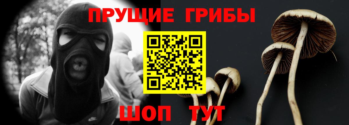 Псилоцибиновые грибы MAGIC MUSHROOMS  Псилоцибиновые грибы MAGIC MUSHROOMS  Свободный  Вход с VPN 