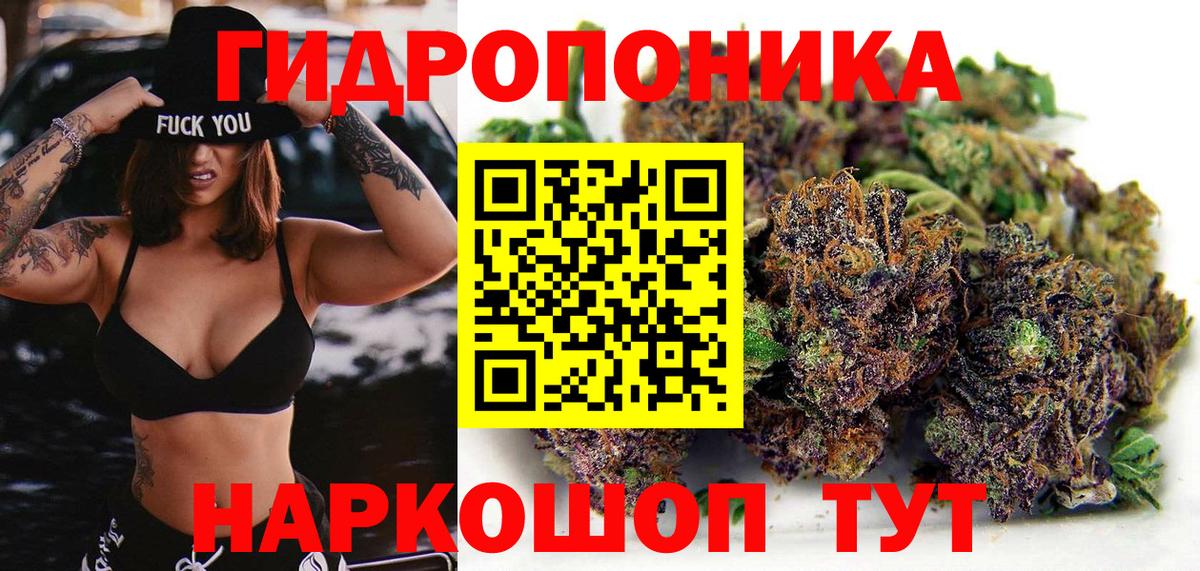 Бошки марихуана план  Бошки марихуана OG Kush  Вход с VPN  Свободный 